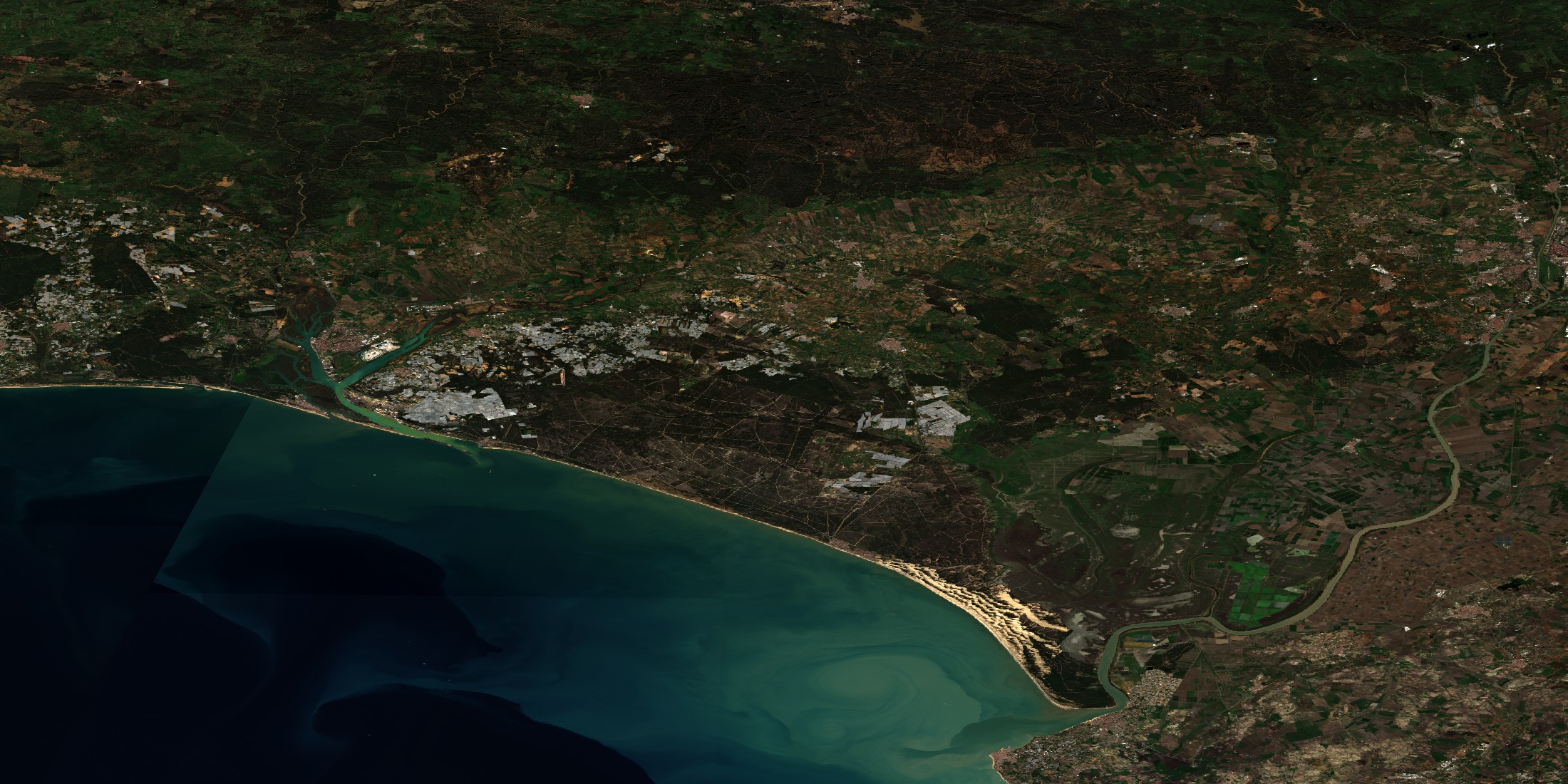 Doñana basin, Landsat 5 February 1997 and Sentinel-2 January 2024